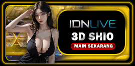 casino games 3D SHIO