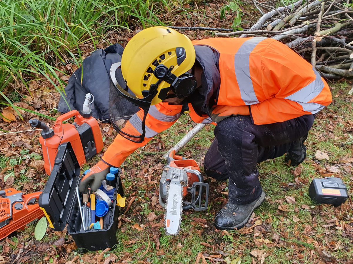 Fjord Forestry tree surgeon with chainsaw.