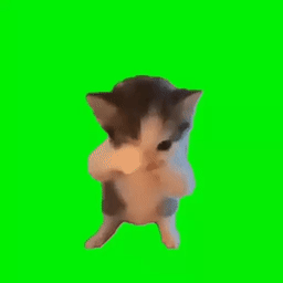 KICAWWWW.png